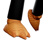 ChickenShoes.png