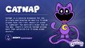 CatNap's infocard, revealed on Twitter